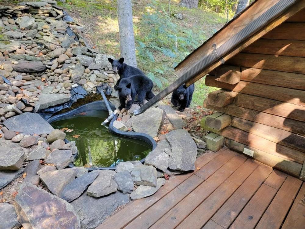 Very Private, Real Log Cabin With Hot Tub! Sevierville Exterior foto